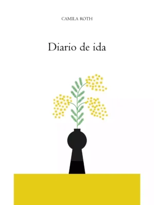 Diario de ida